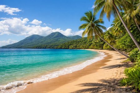 plage-martinique-sable-cocotiers-montagnes