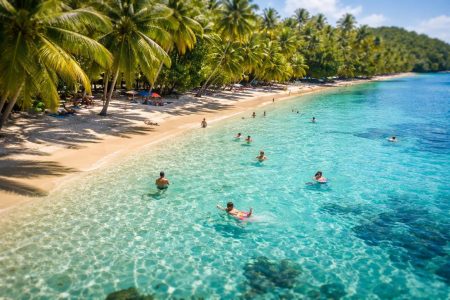 plage-martinique-eau-turquoise-cocotiers