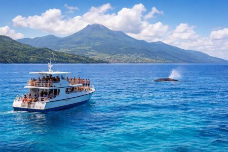 bateau-observation-ocean-baleine-martinique