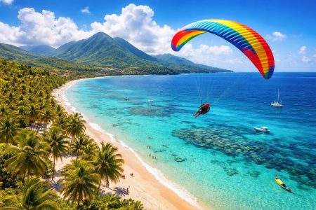 vue-aerienne-plage-parapente-martinique
