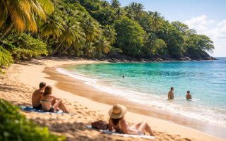 plage-martinique-sable-dore-mer-turquoise