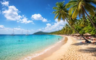 plage-sable-dore-palmiers-voiliers