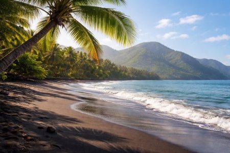 plage-sable-noir-palmier-montagnes