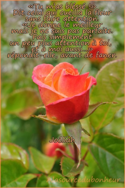 attention_joeliah-398x600.jpg